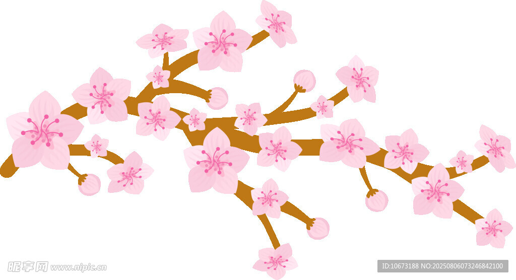 粉色櫻花枝