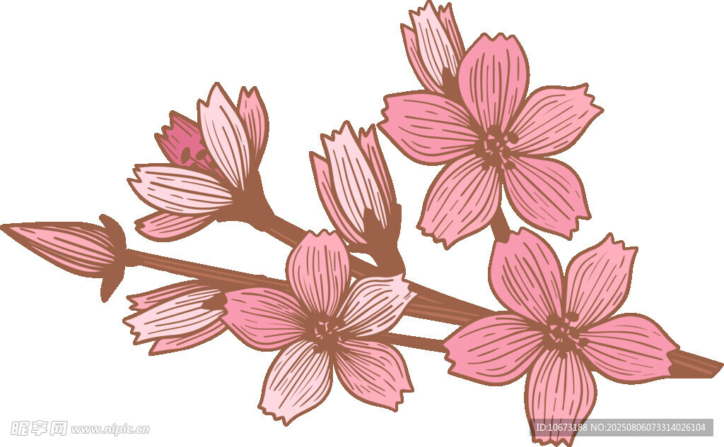 粉色櫻花枝插畫(huà)