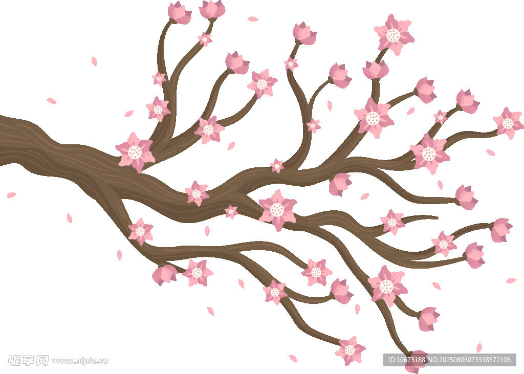 粉色櫻花樹枝插畫