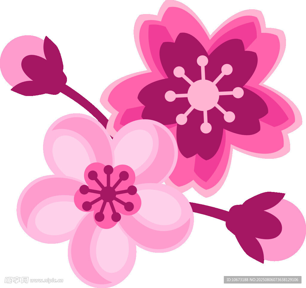 粉色櫻花花朵圖案