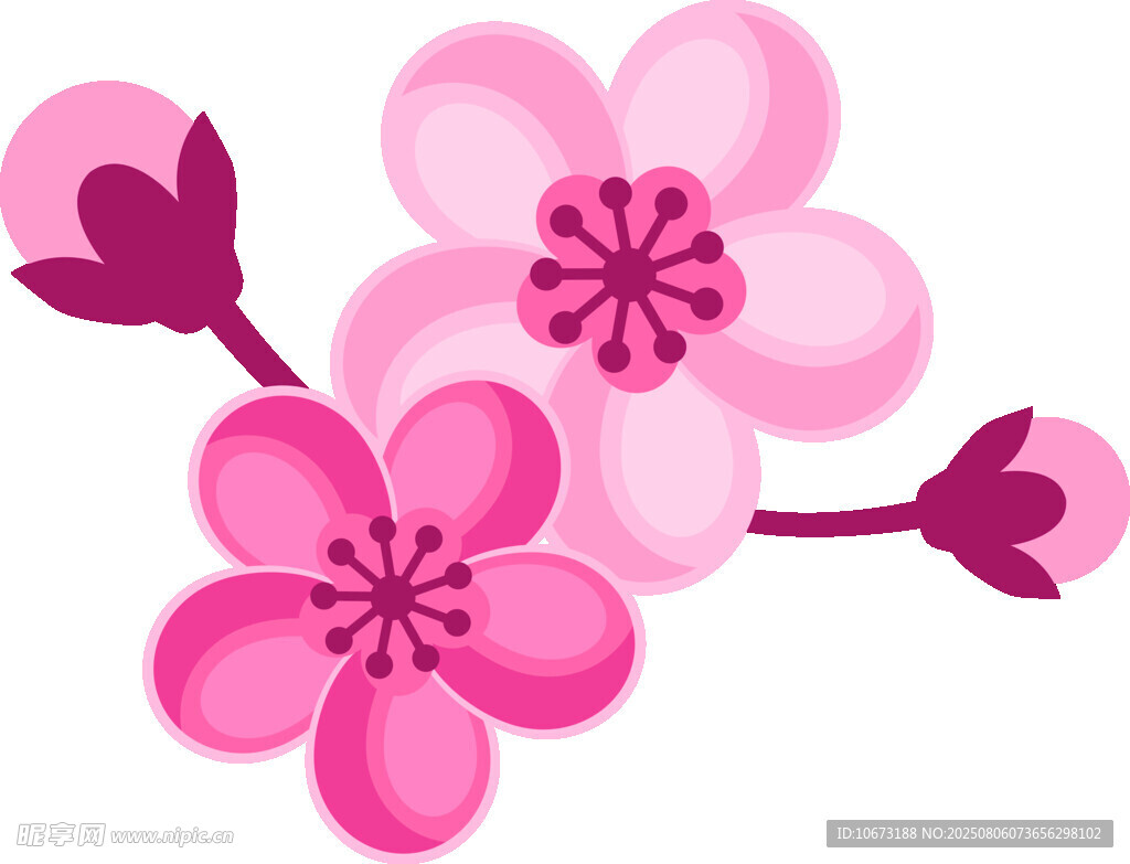 粉色櫻花插畫