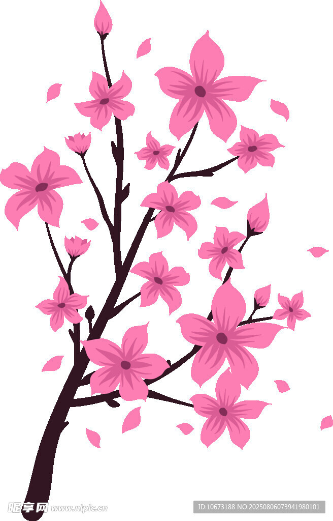 粉色櫻花樹枝插畫
