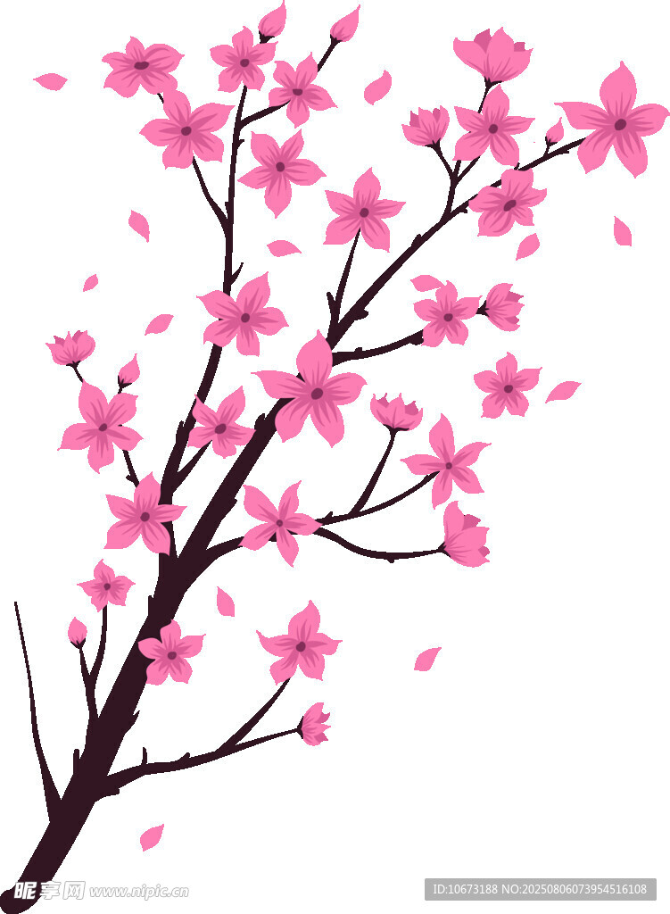 粉色櫻花枝
