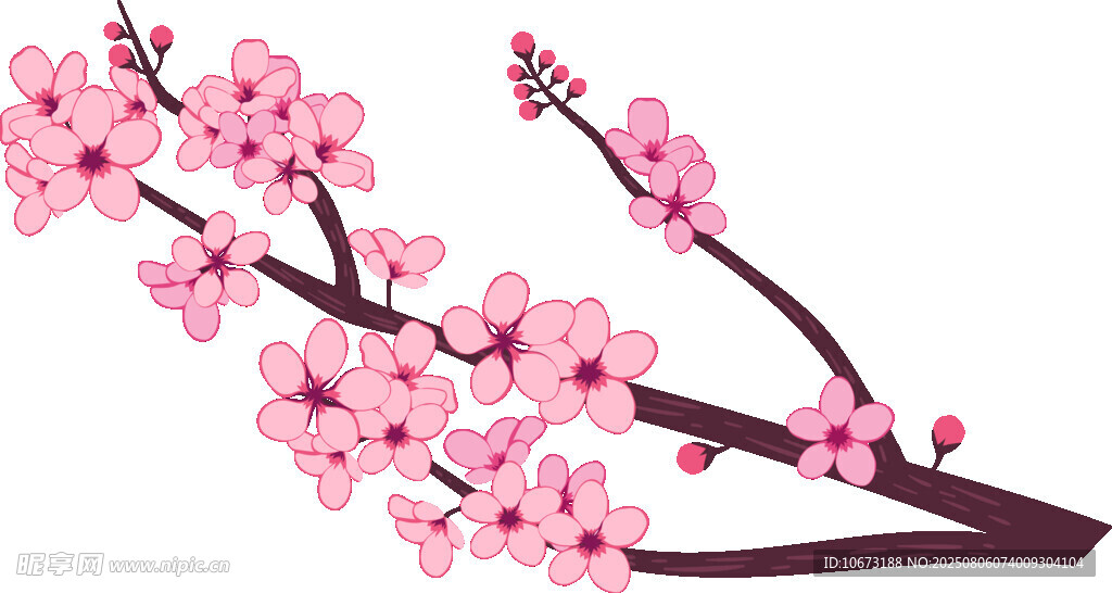 粉色櫻花枝
