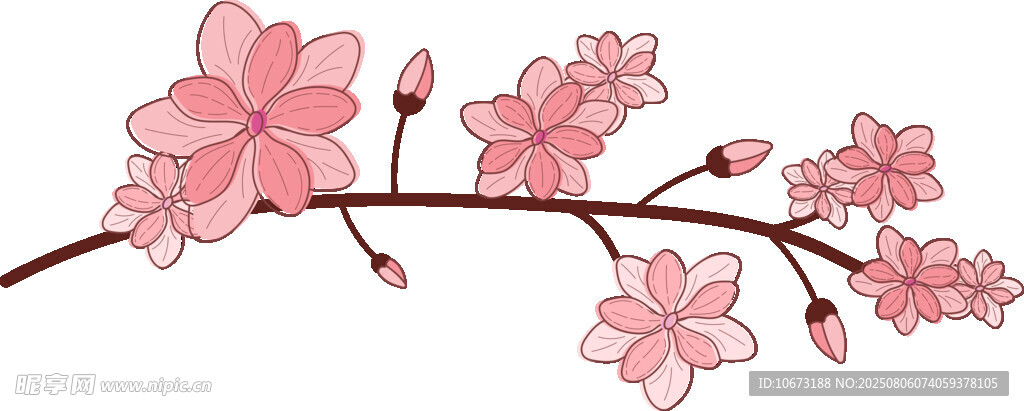 粉色櫻花枝
