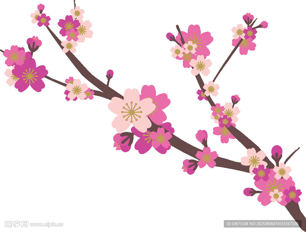 粉色花枝插畫