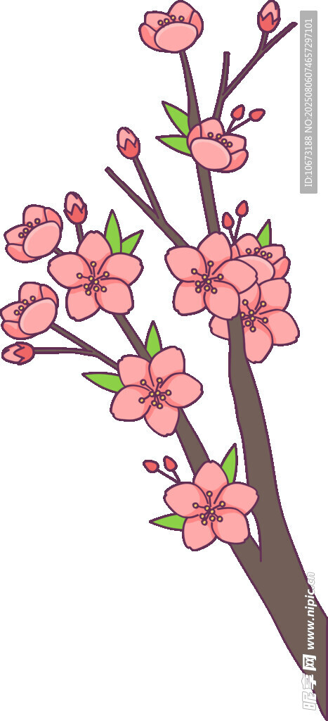 綻放的粉色桃花枝