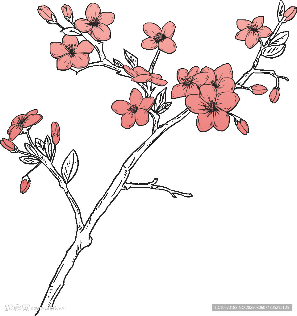 手繪粉色花枝插畫