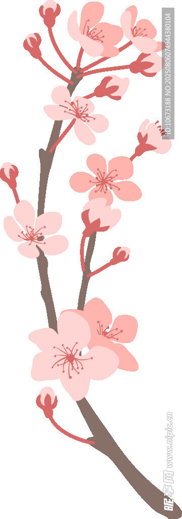 粉色櫻花枝條插畫