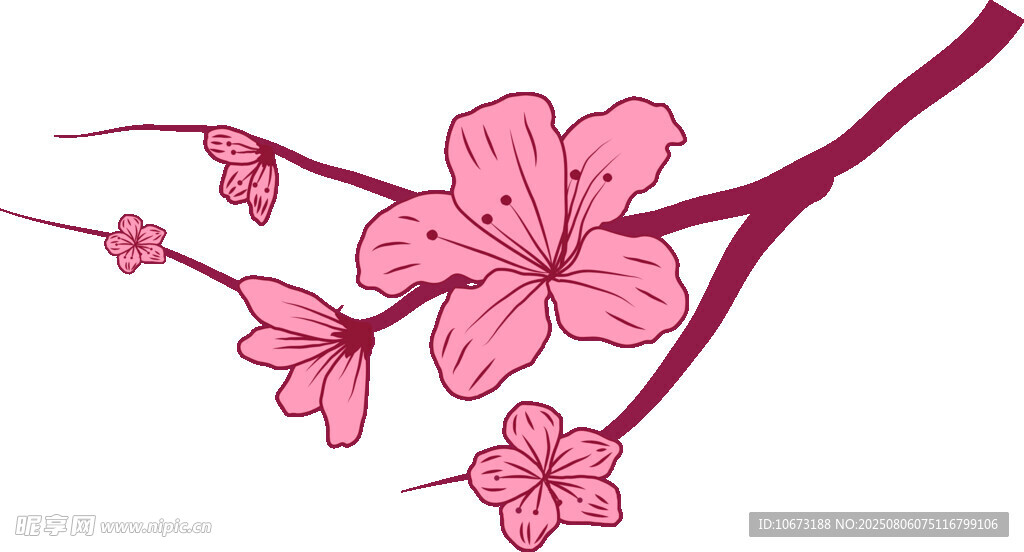 粉色櫻花枝插畫
