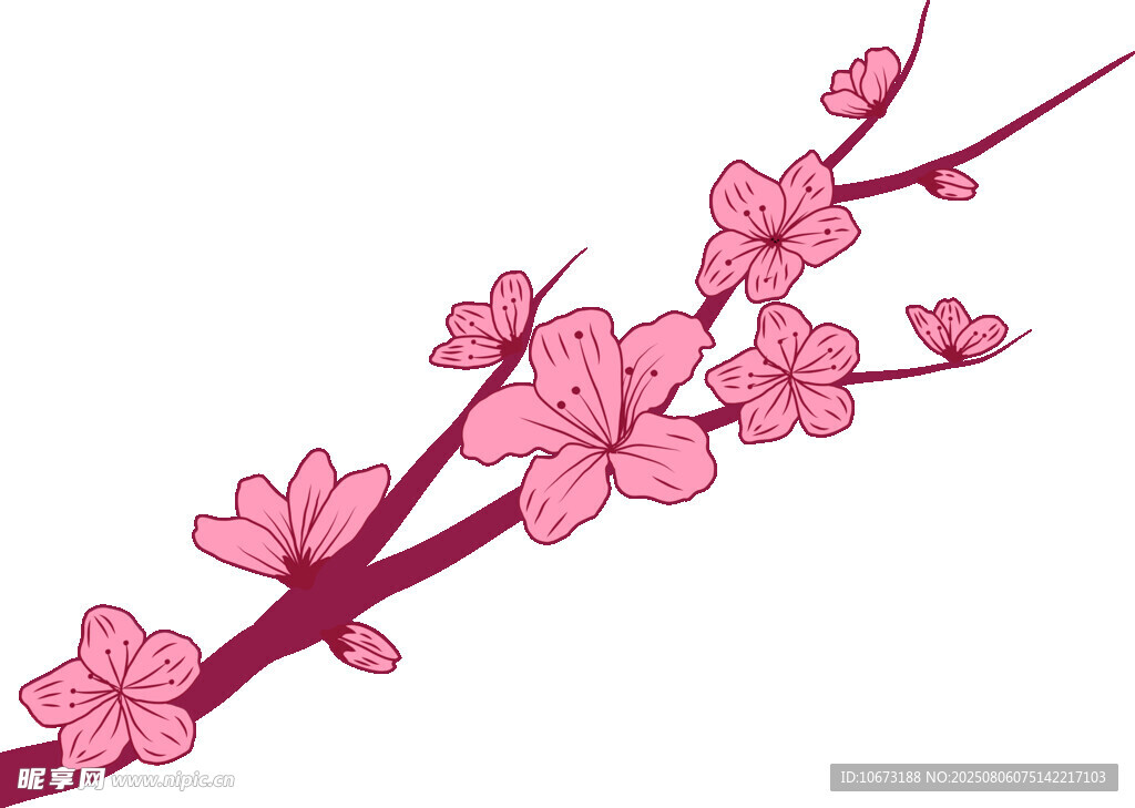 粉色櫻花枝