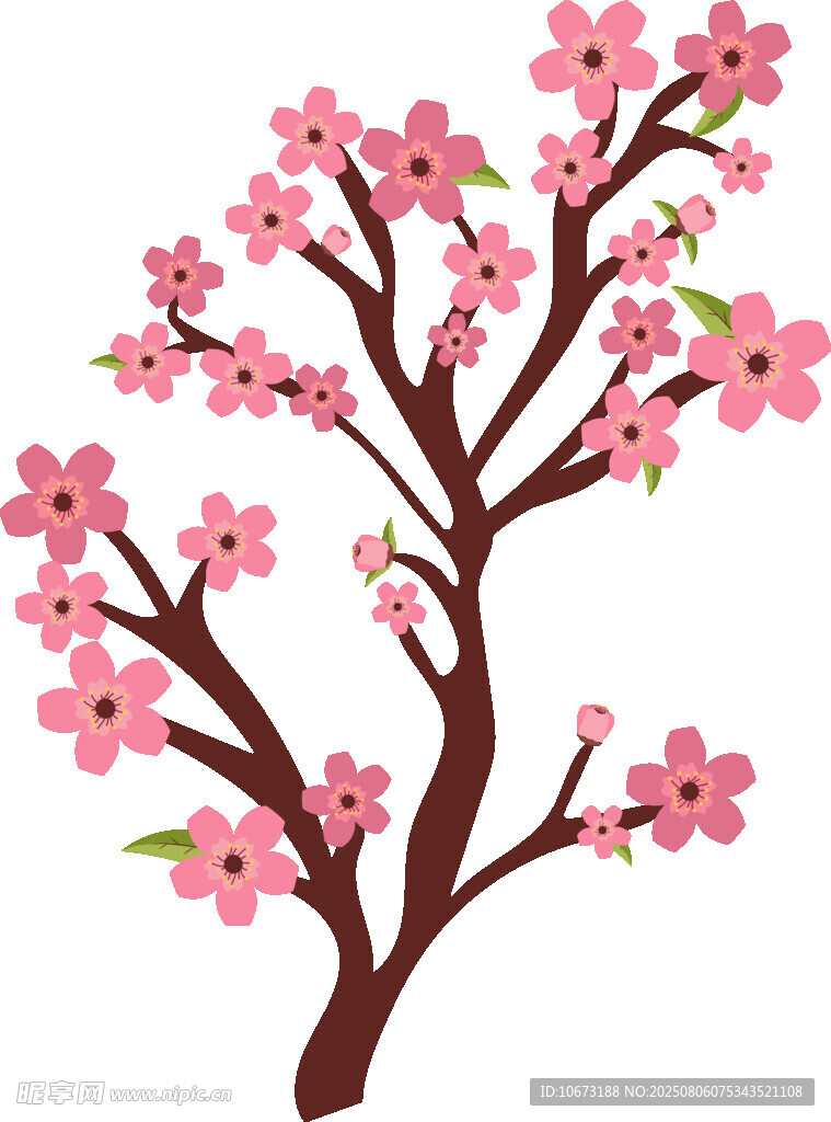 粉色櫻花樹枝插畫