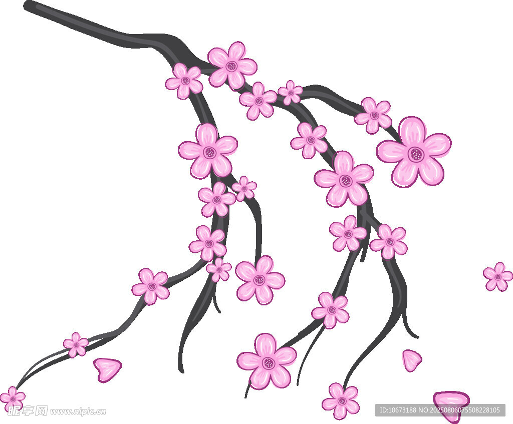粉色櫻花枝