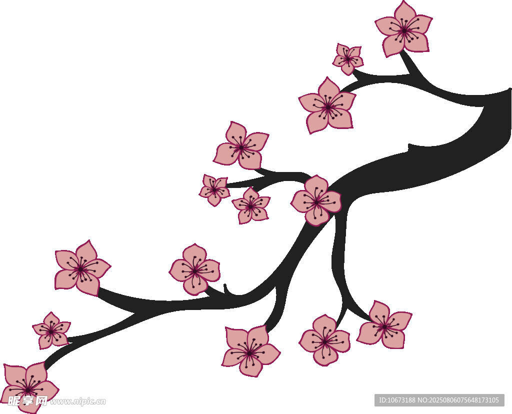 粉色櫻花枝插畫(huà)