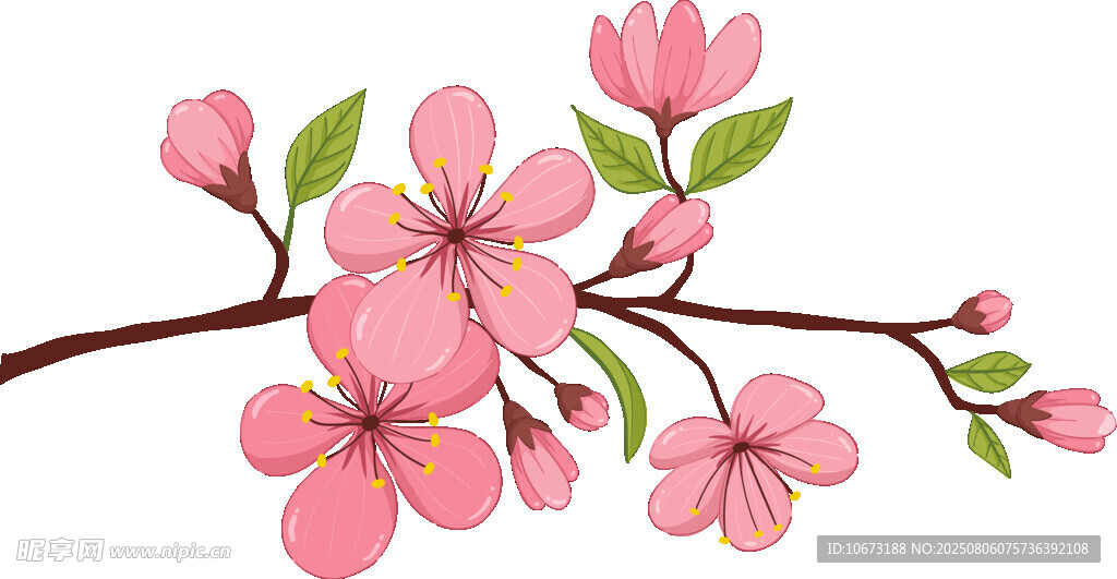 粉色櫻花枝