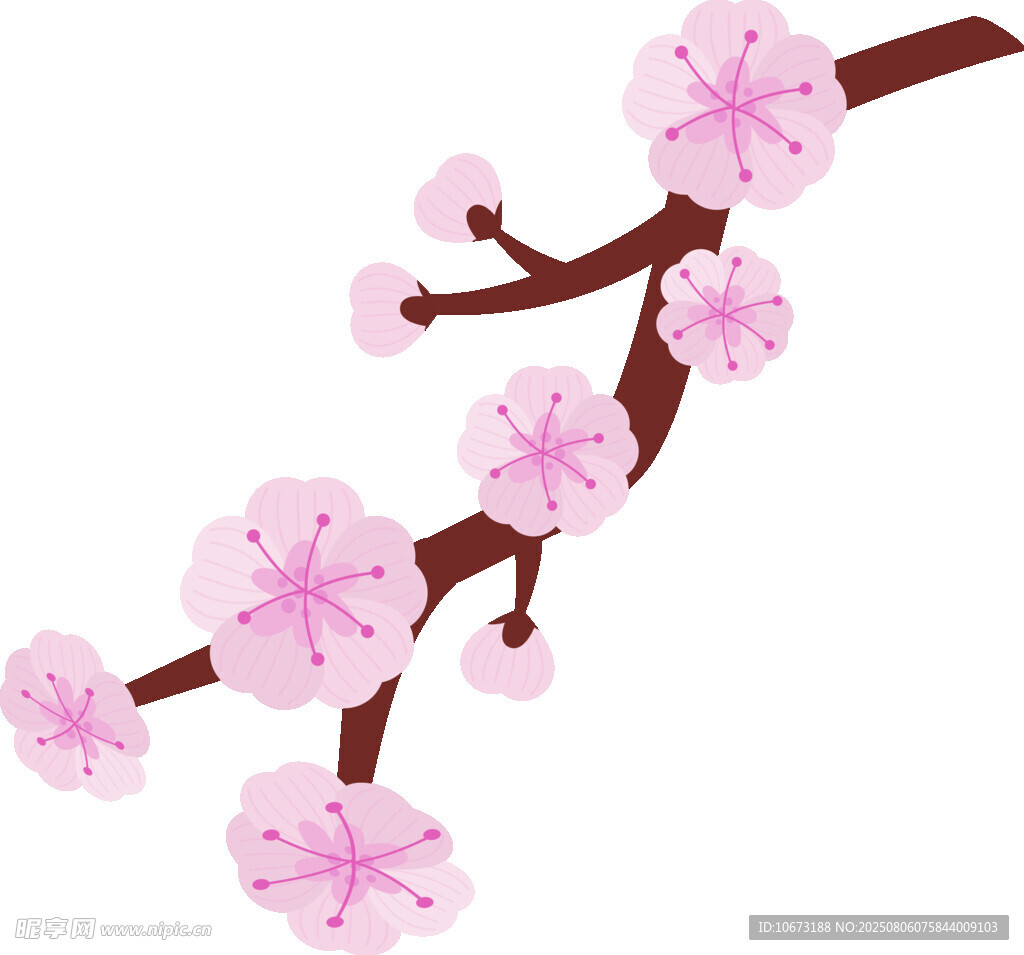 粉色櫻花枝插畫