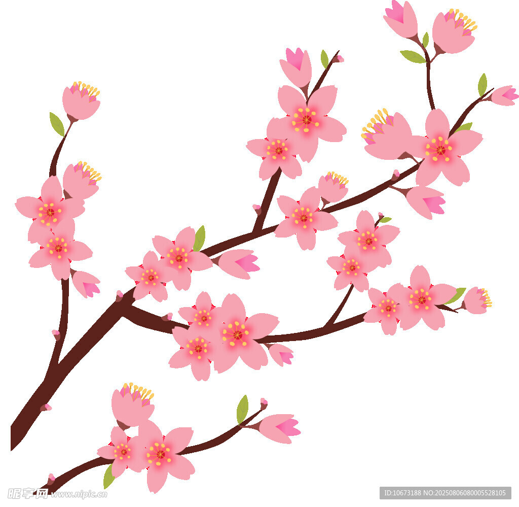 粉色桃花枝