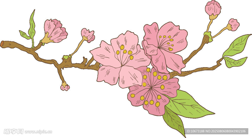 粉色桃花枝插畫