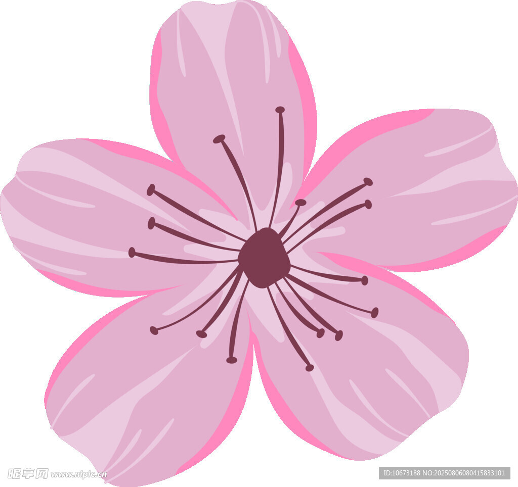 粉色櫻花花朵插畫