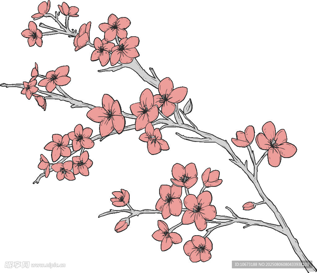 手繪粉色花枝插畫