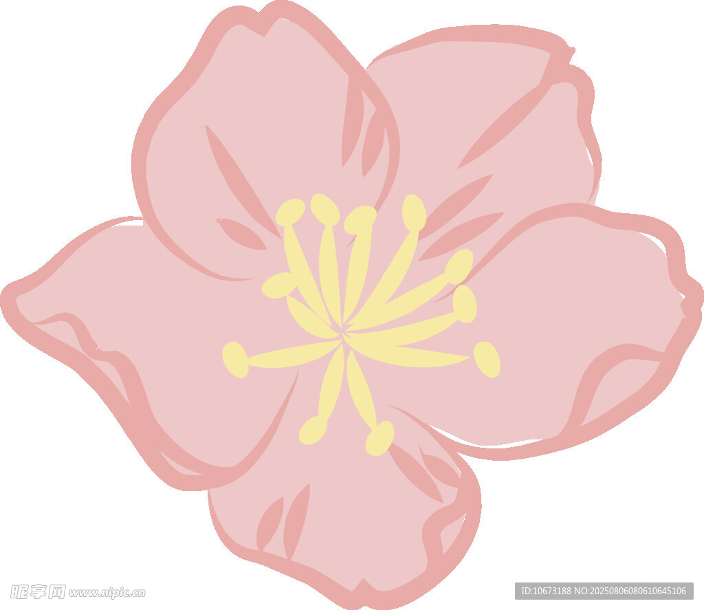 粉色櫻花插畫