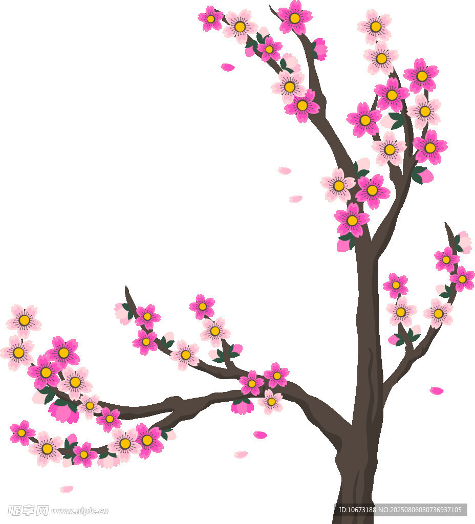 盛開的粉色花枝