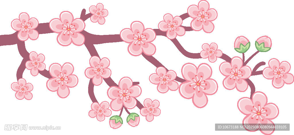 粉色櫻花枝綻放