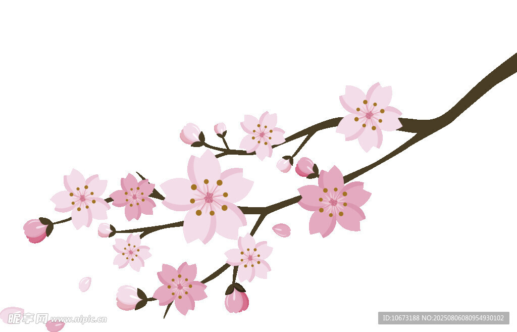 粉色櫻花枝
