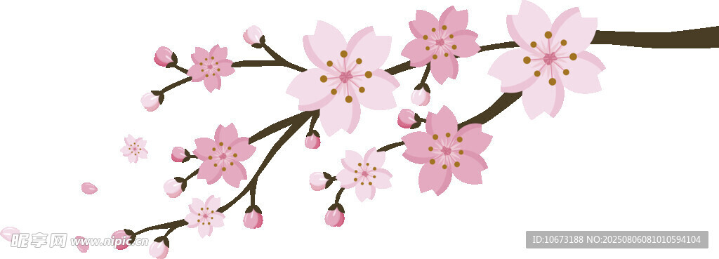粉色櫻花枝