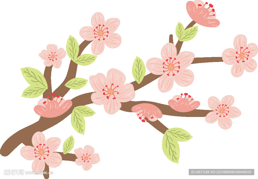 粉色櫻花枝插畫