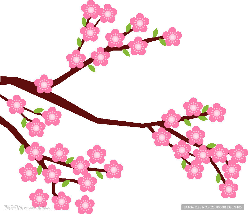 粉色櫻花樹枝插畫