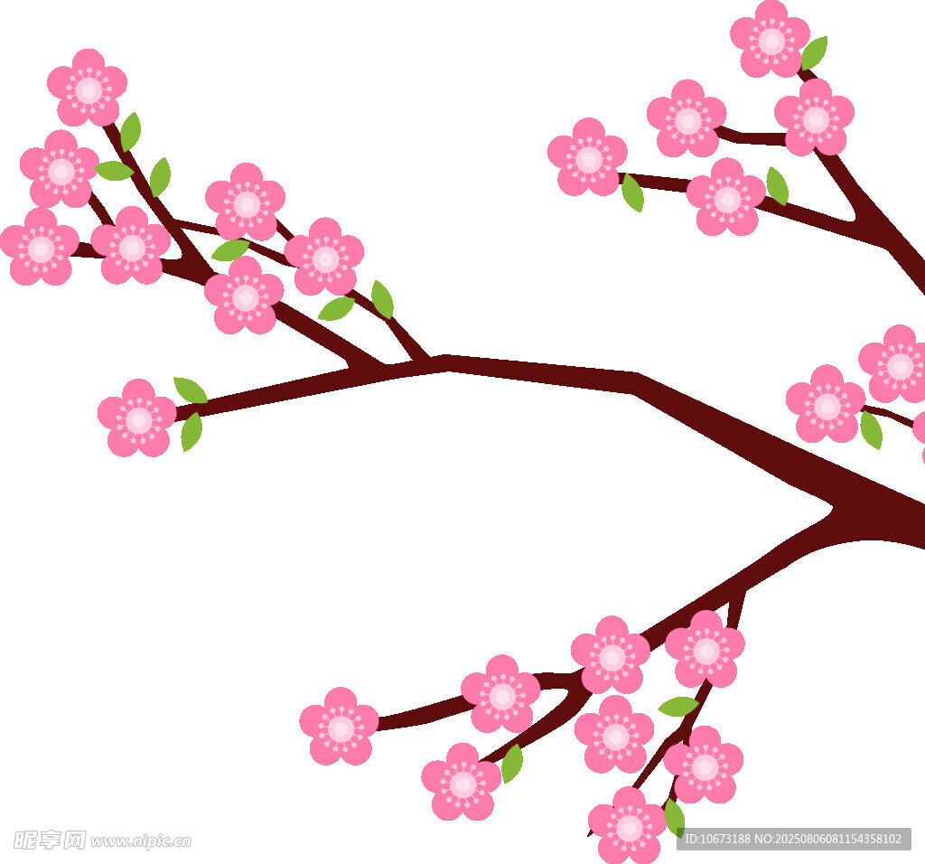 粉色櫻花枝