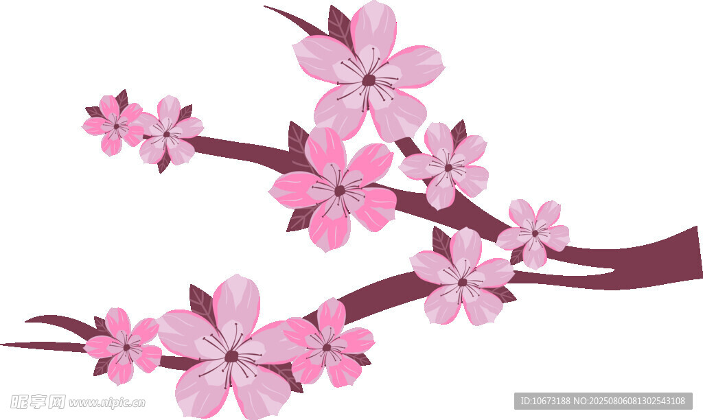 粉色櫻花枝插畫