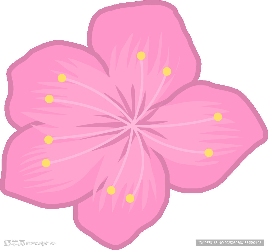 粉色櫻花花朵插畫