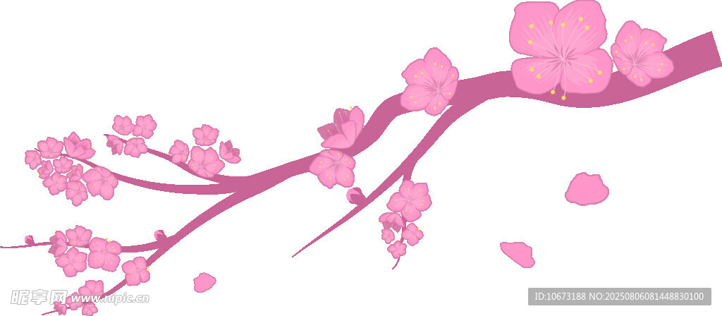 粉色櫻花枝