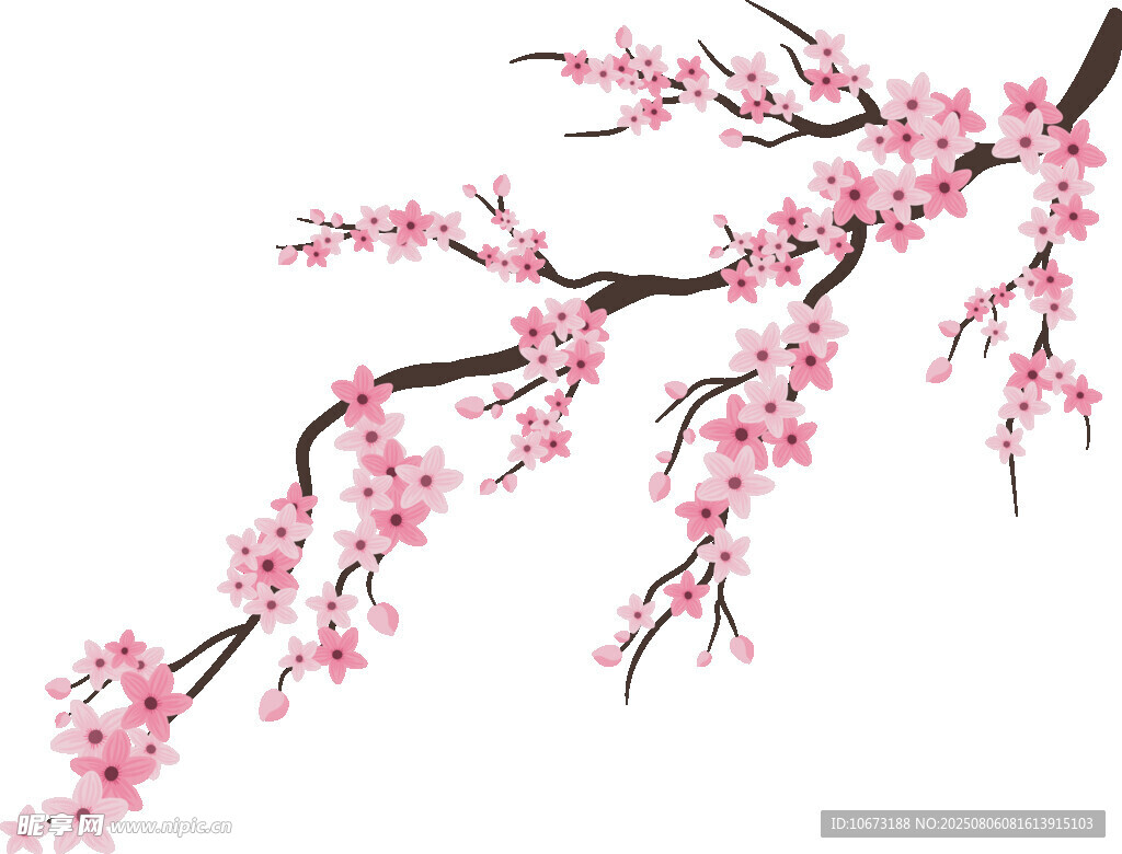 粉色桃花枝