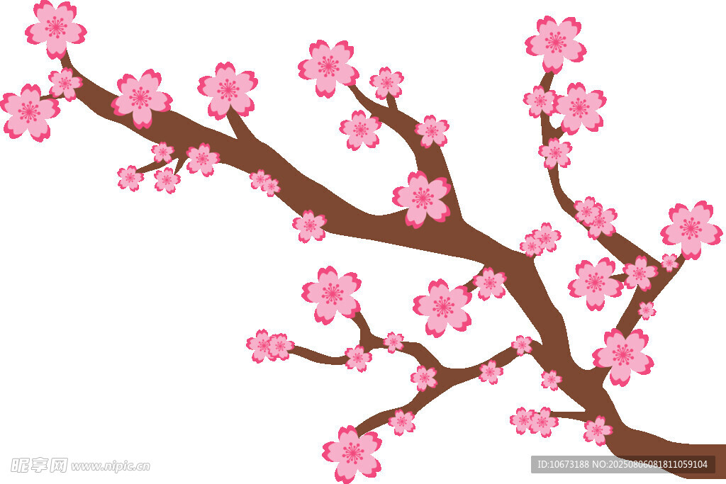 粉色櫻花樹枝插畫