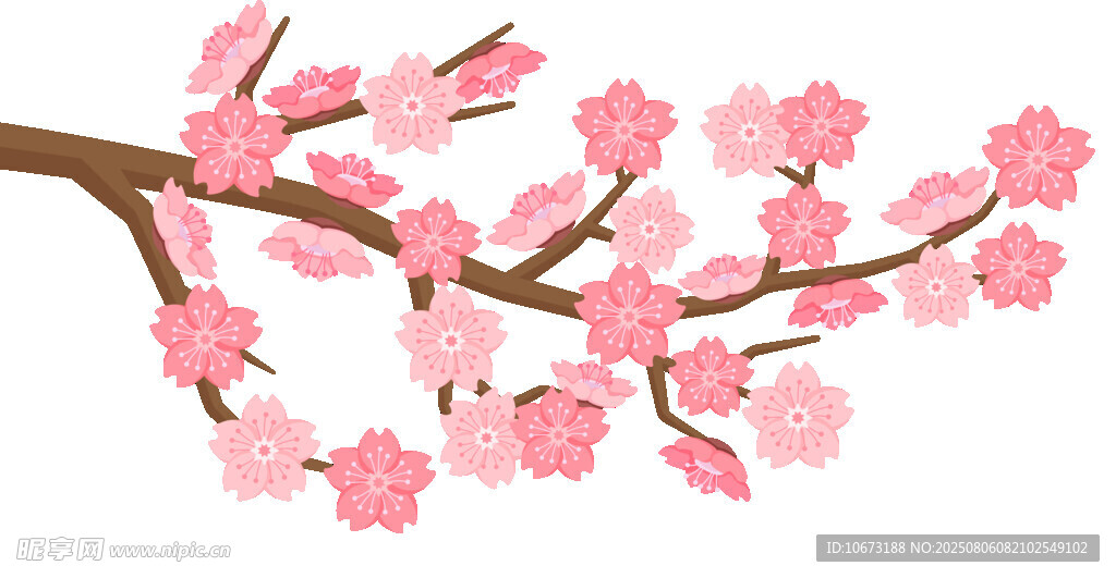粉色櫻花枝