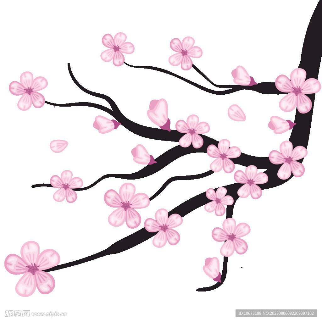 粉色櫻花枝