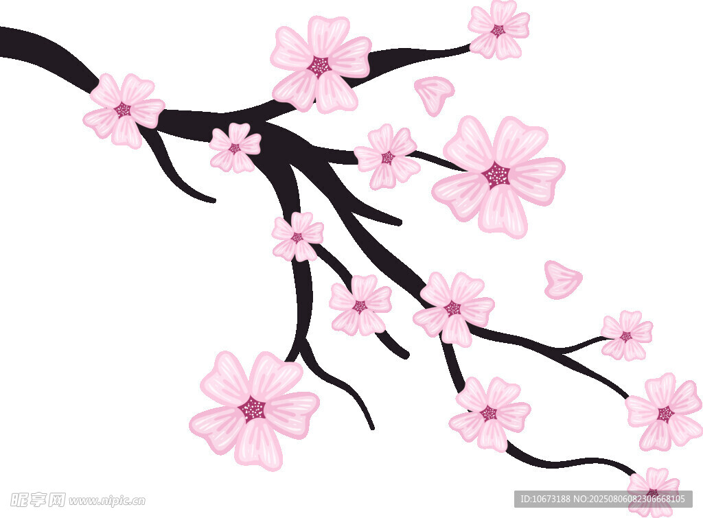 粉色櫻花枝
