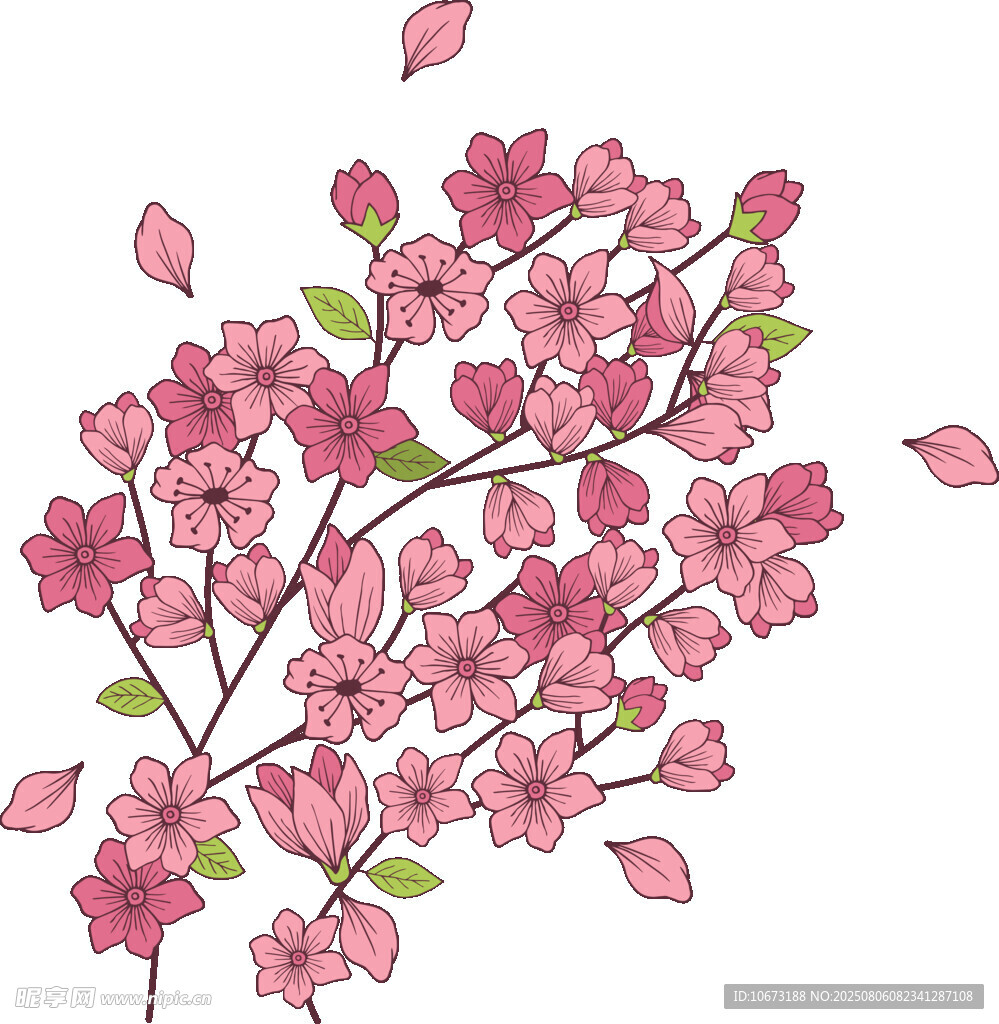粉色櫻花枝