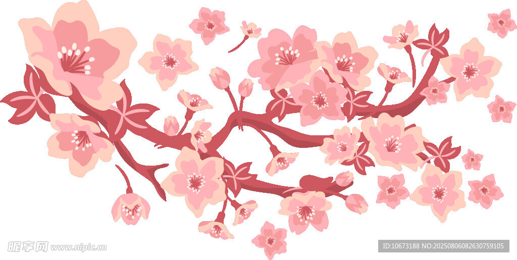 粉色櫻花枝條插畫