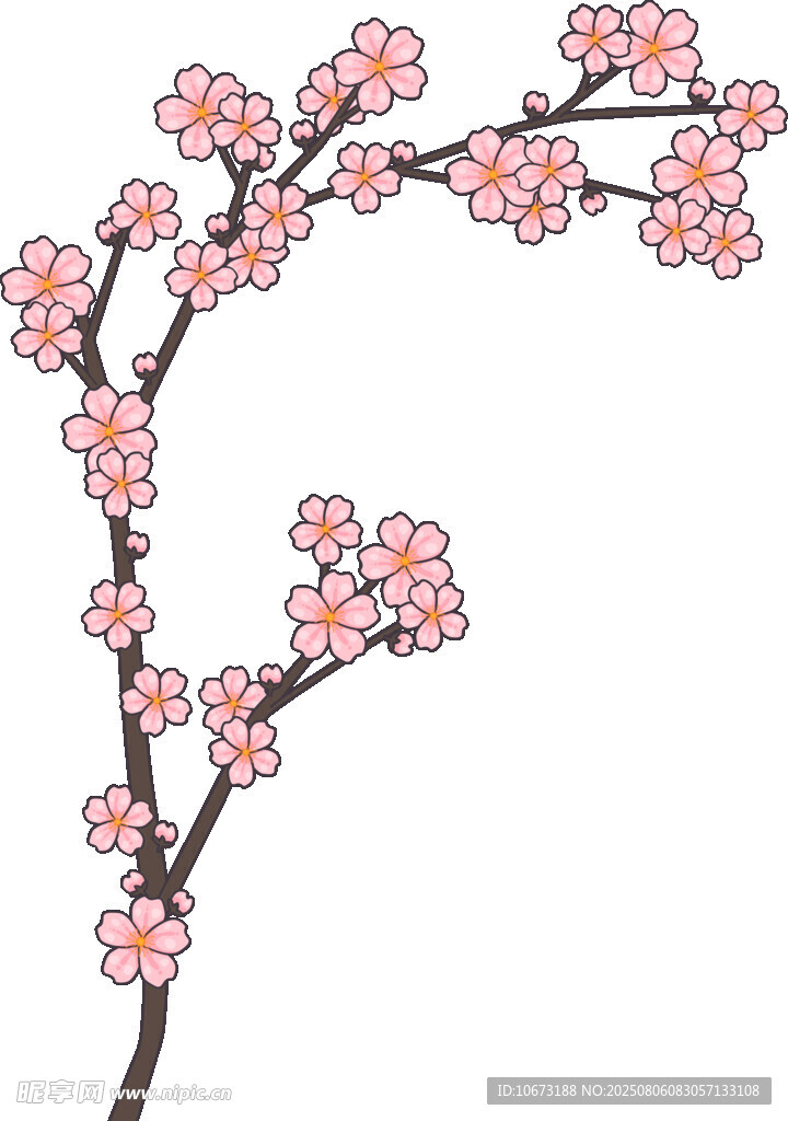 粉色梅花枝插畫
