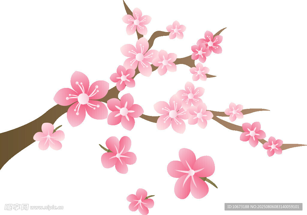 粉色爛漫櫻花枝