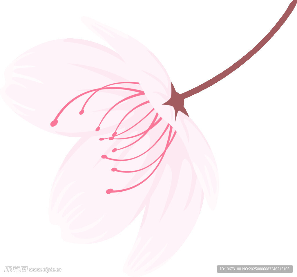 粉色單枝櫻花插畫