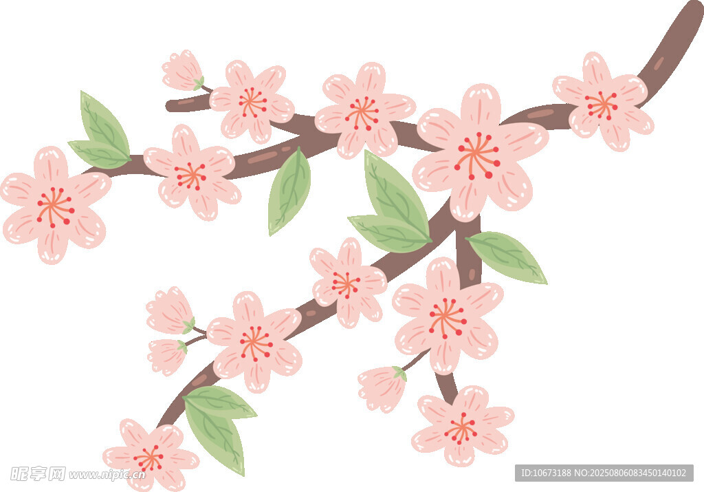 粉色櫻花枝