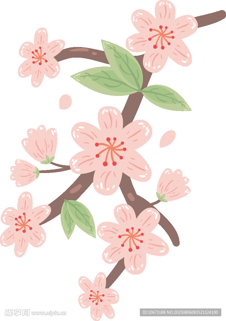 粉色櫻花枝插畫