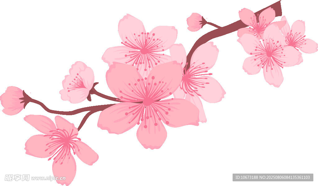 粉色櫻花枝