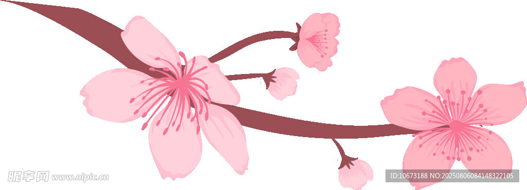 粉色櫻花枝