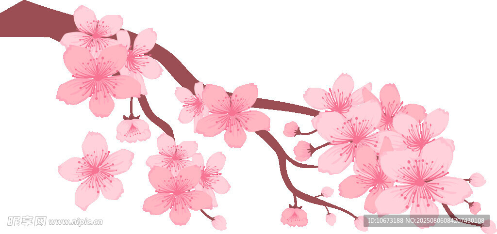 粉嫩櫻花枝